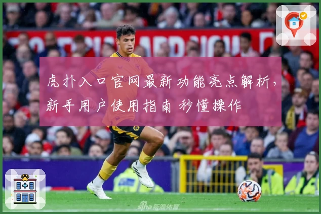 虎扑入口官网最新功能亮点解析，新手用户使用指南 秒懂操作