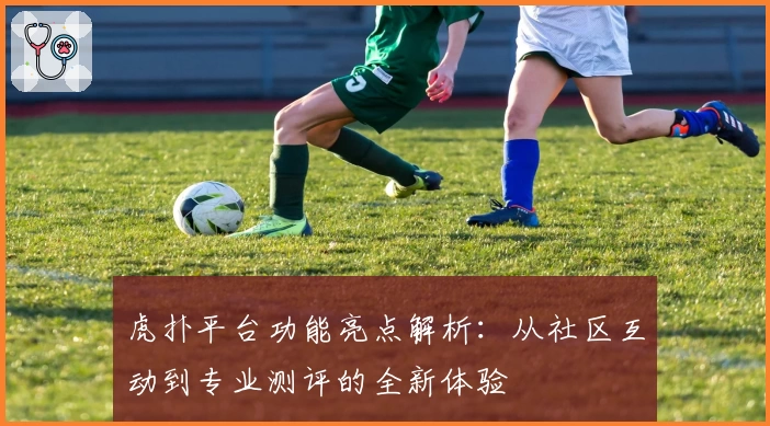 虎扑平台功能亮点解析：从社区互动到专业测评的全新体验